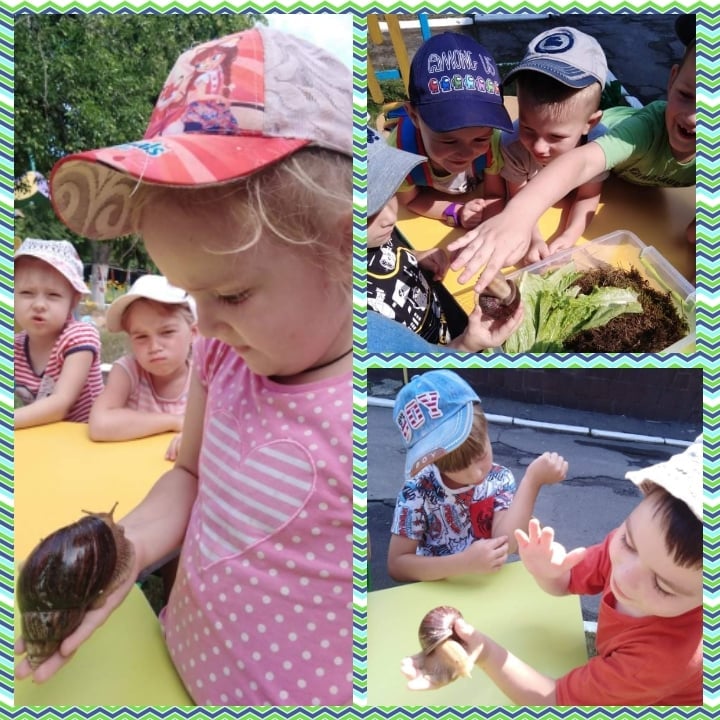 217395497 2990194027969601 3491691126353362798 n