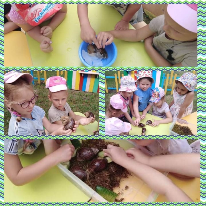 217460688 210570077535238 2172090886774923096 n