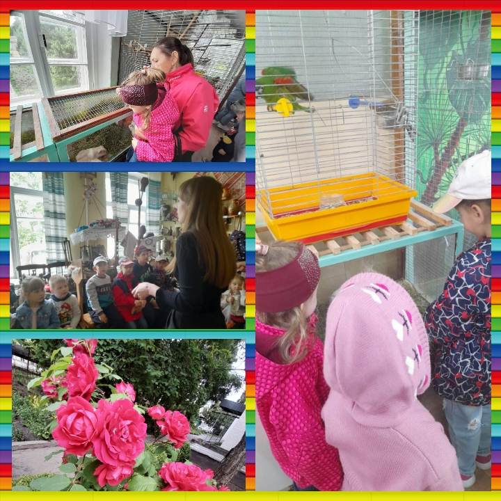 354275191 960800661631239 6750371852507752911 n